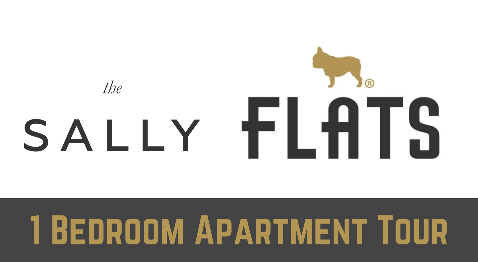 The Sally - 1 Bedroom Apartment in Uptown Chicago 1 Bedroom Apartment in Uptown Chicago  - The Sally