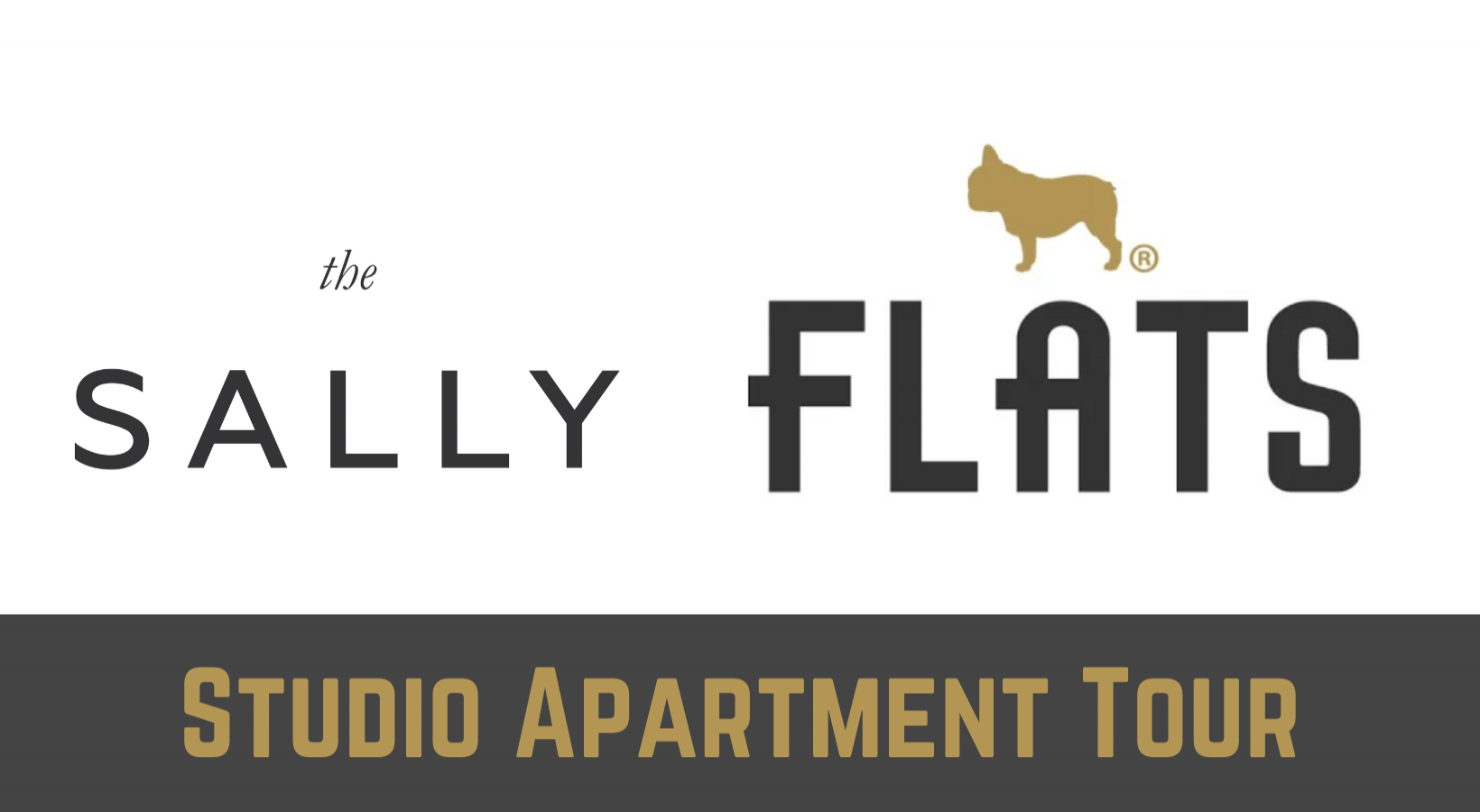 The Sally - Studio Apartment in Uptown Chicago Walkthrough  Studio Apartment in Uptown Chicago - The Sally