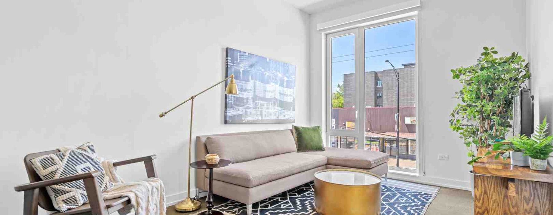 dog friendly rentals chicago