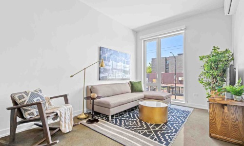 dog friendly rentals chicago