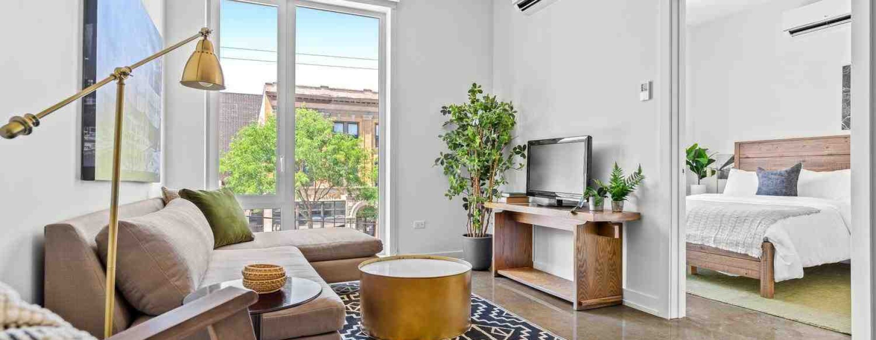 Dog in modern Chicago apartment - dog-friendly apartments Chicago