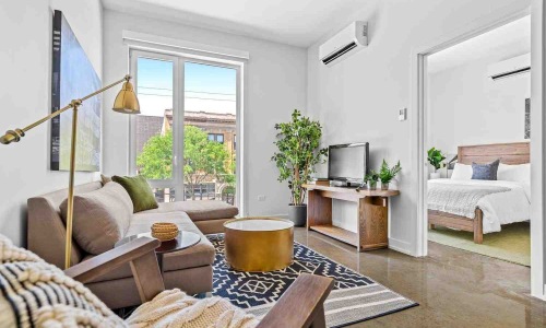 Dog in modern Chicago apartment - dog-friendly apartments Chicago