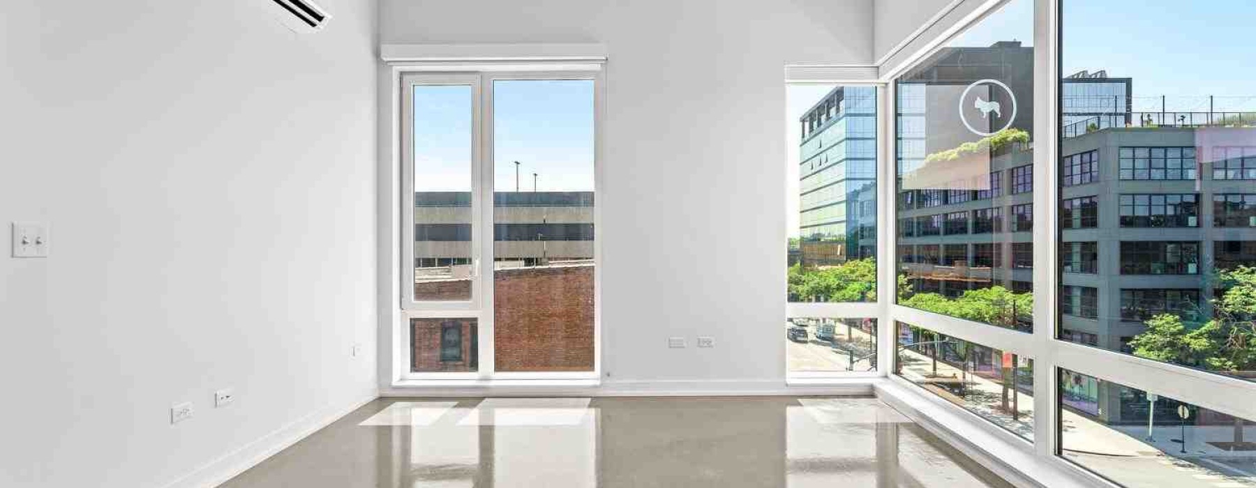 large dog friendly apartments in chicago