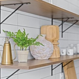 Discover the ultimate convenience plants on a shelf