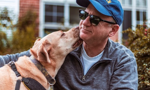 chicago dog-friendly apartments - Chicago dog-friendly apartments