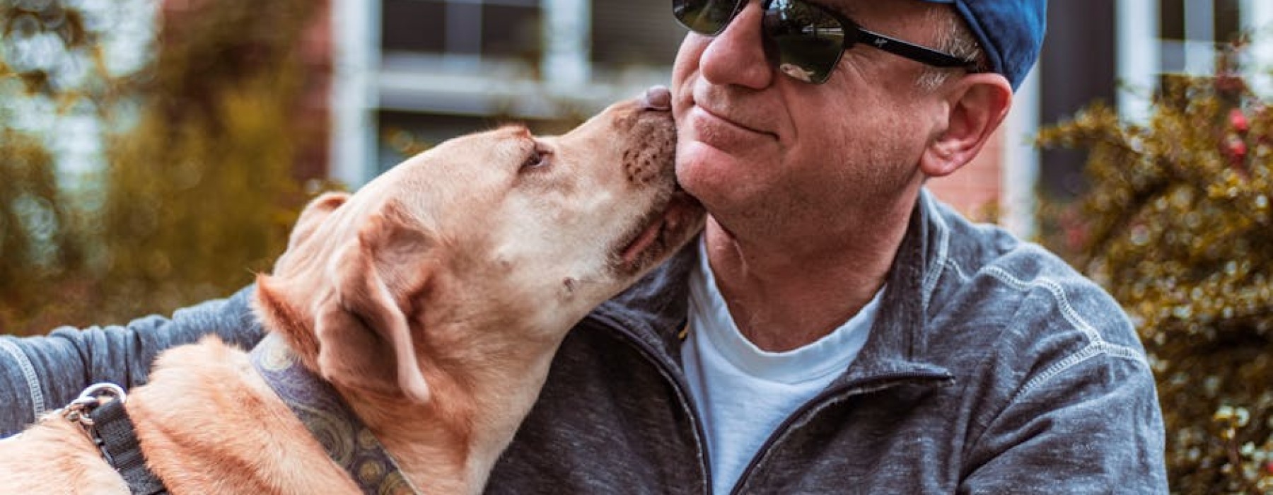 chicago dog-friendly apartments - Chicago dog-friendly apartments