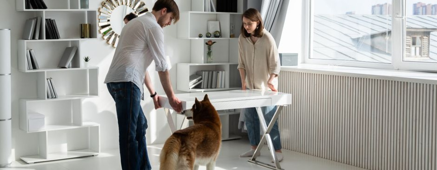 apartments that allow dogs