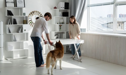apartments that allow dogs