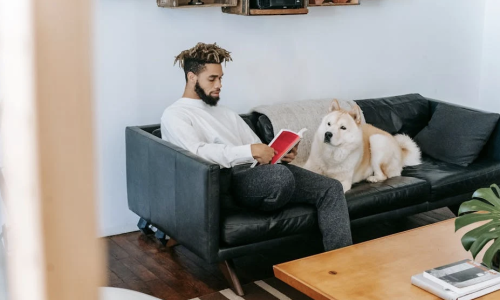Chicago apartments no breed restrictions - Chicago apartments no breed restrictions