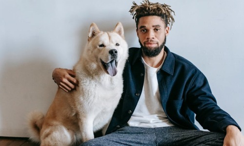 apartments big dog friendly