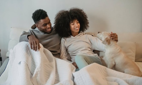 pet friendly apartments - pet friendly apts