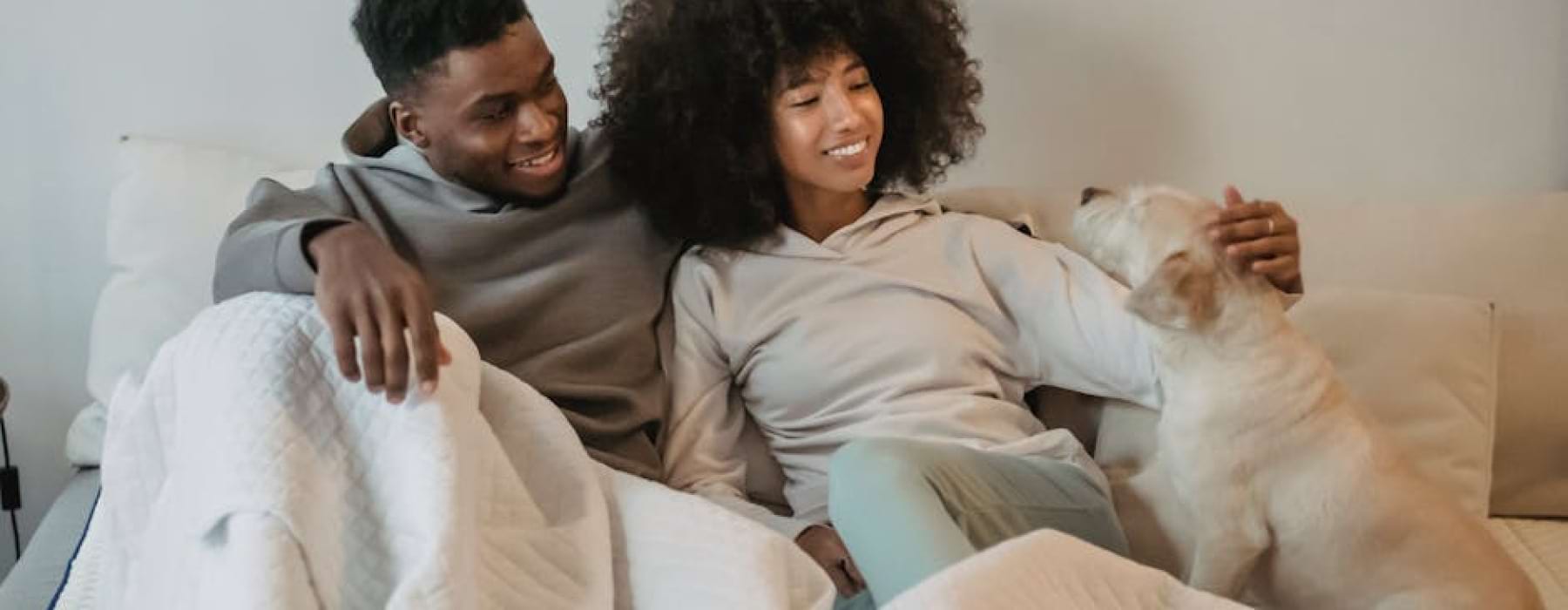 pet friendly apartments - pet friendly apts