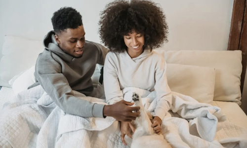apartment pet friendly - apartment pet friendly