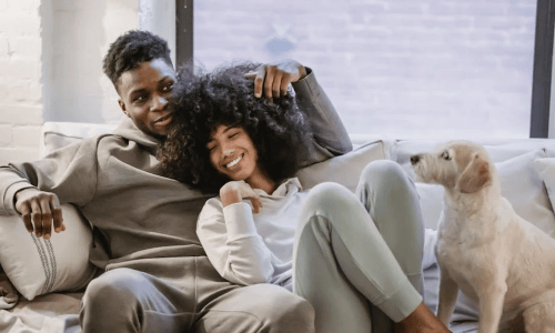 apartments for pet owners - apartments for pet owners