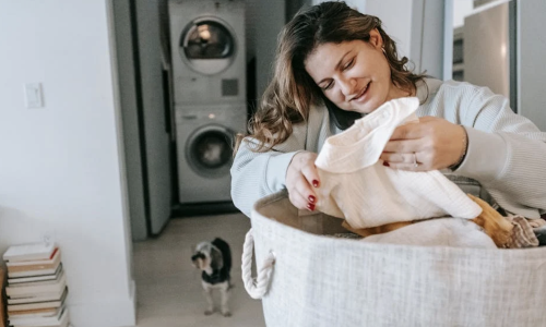happy dog in modern apartment spa - apartment with pet spa happy dog in modern apartment spa - apartment with pet spa
