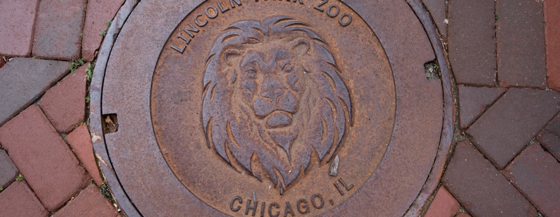 Pet friendly Chicago IL