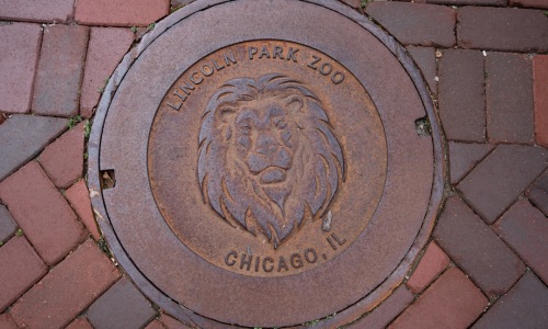 Pet friendly Chicago IL