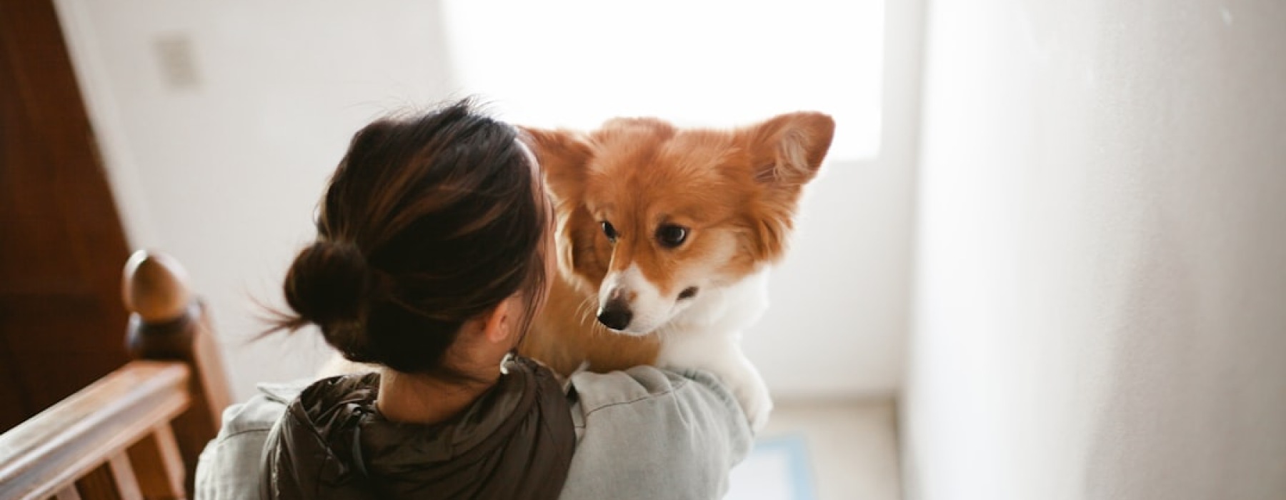 clean, modern apartment dog wash station with a happy dog - apartments with dog wash