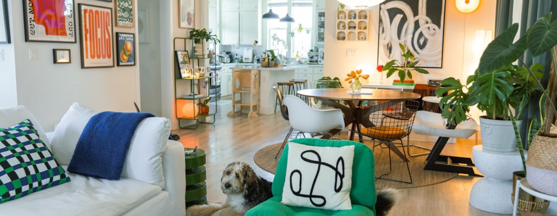 dog in modern apartment
