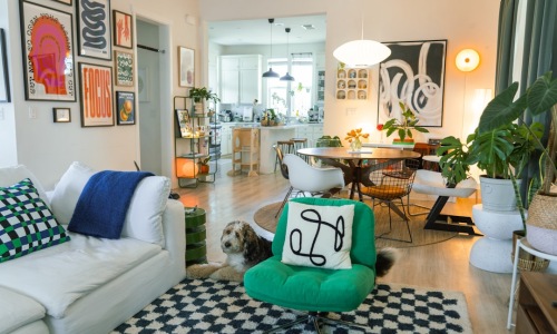 dog in modern apartment