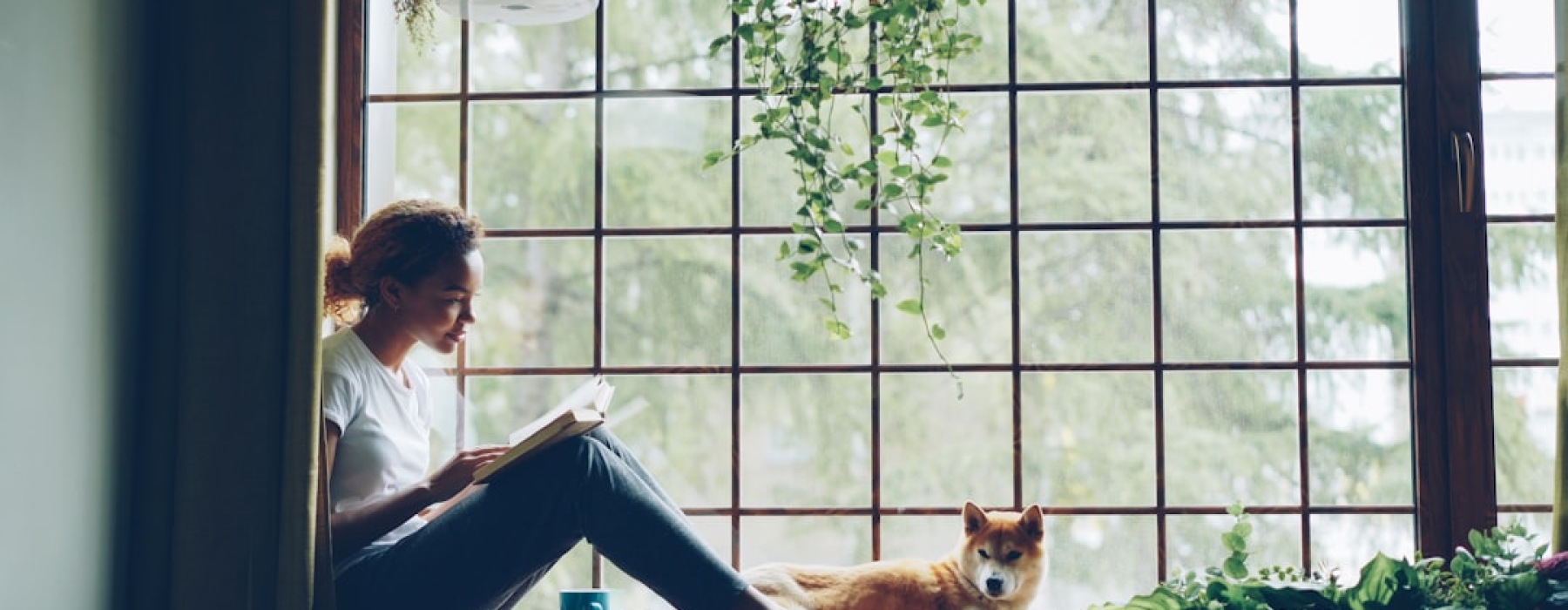 pets allowed rent apartment with happy dog - pets allowed rent